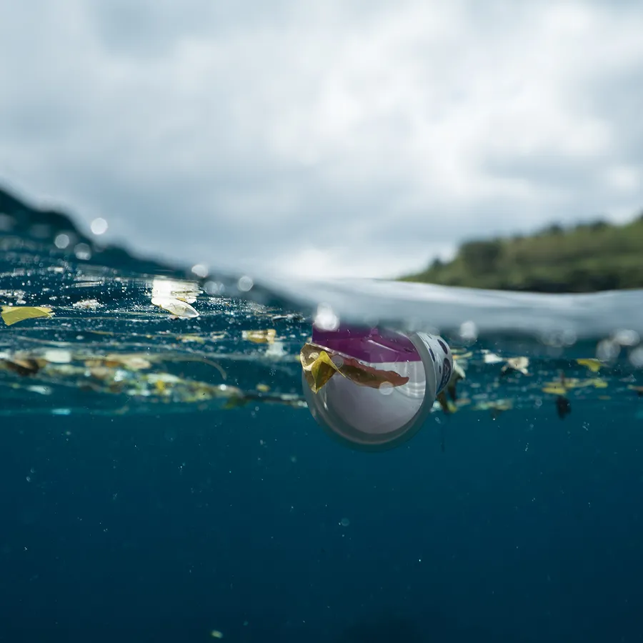 Marine litter