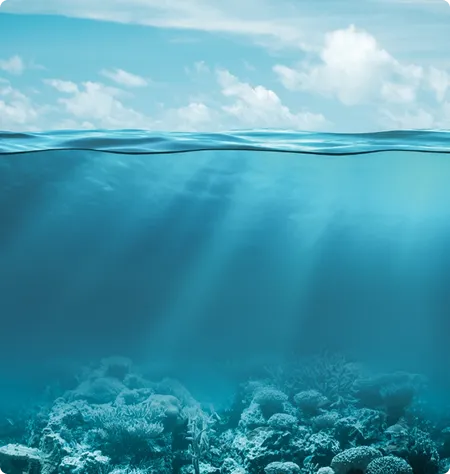 Underwater image
